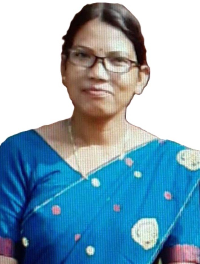 Mr. Bikash Bora